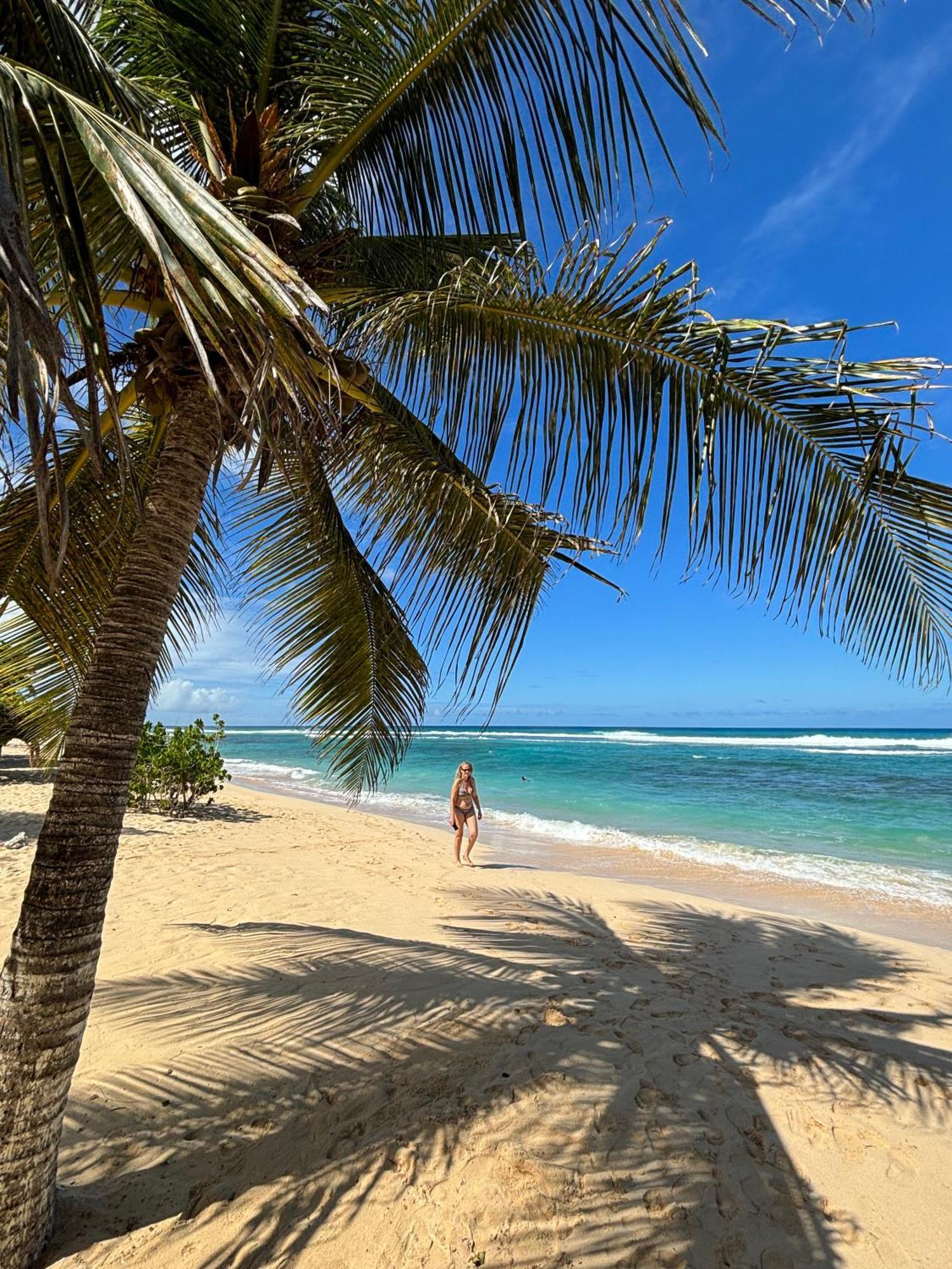 La Maison Creole Du Flamboyant - Proche Des Plages Anse-Bertrand Buitenkant foto
