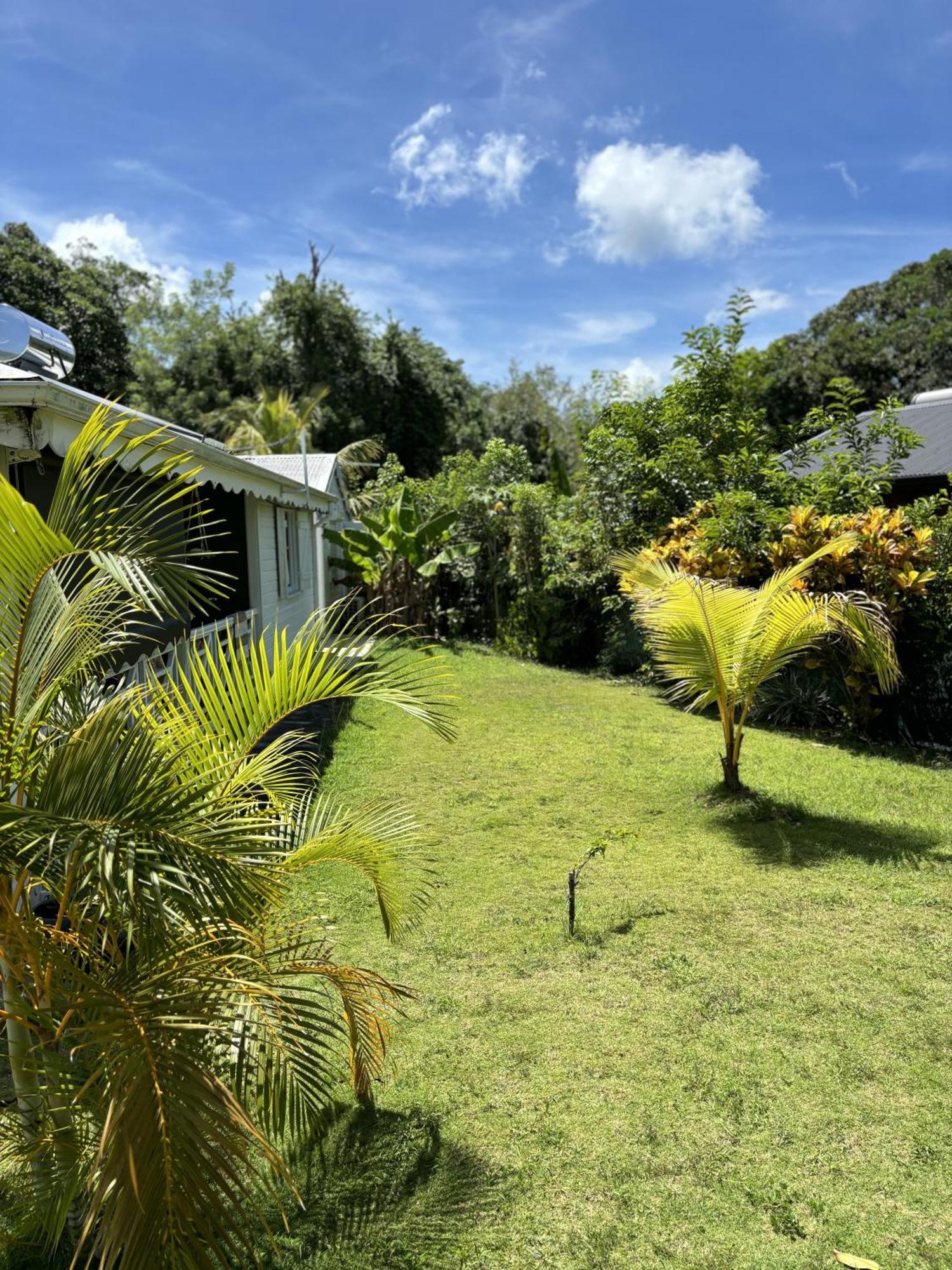 La Maison Creole Du Flamboyant - Proche Des Plages Anse-Bertrand Buitenkant foto