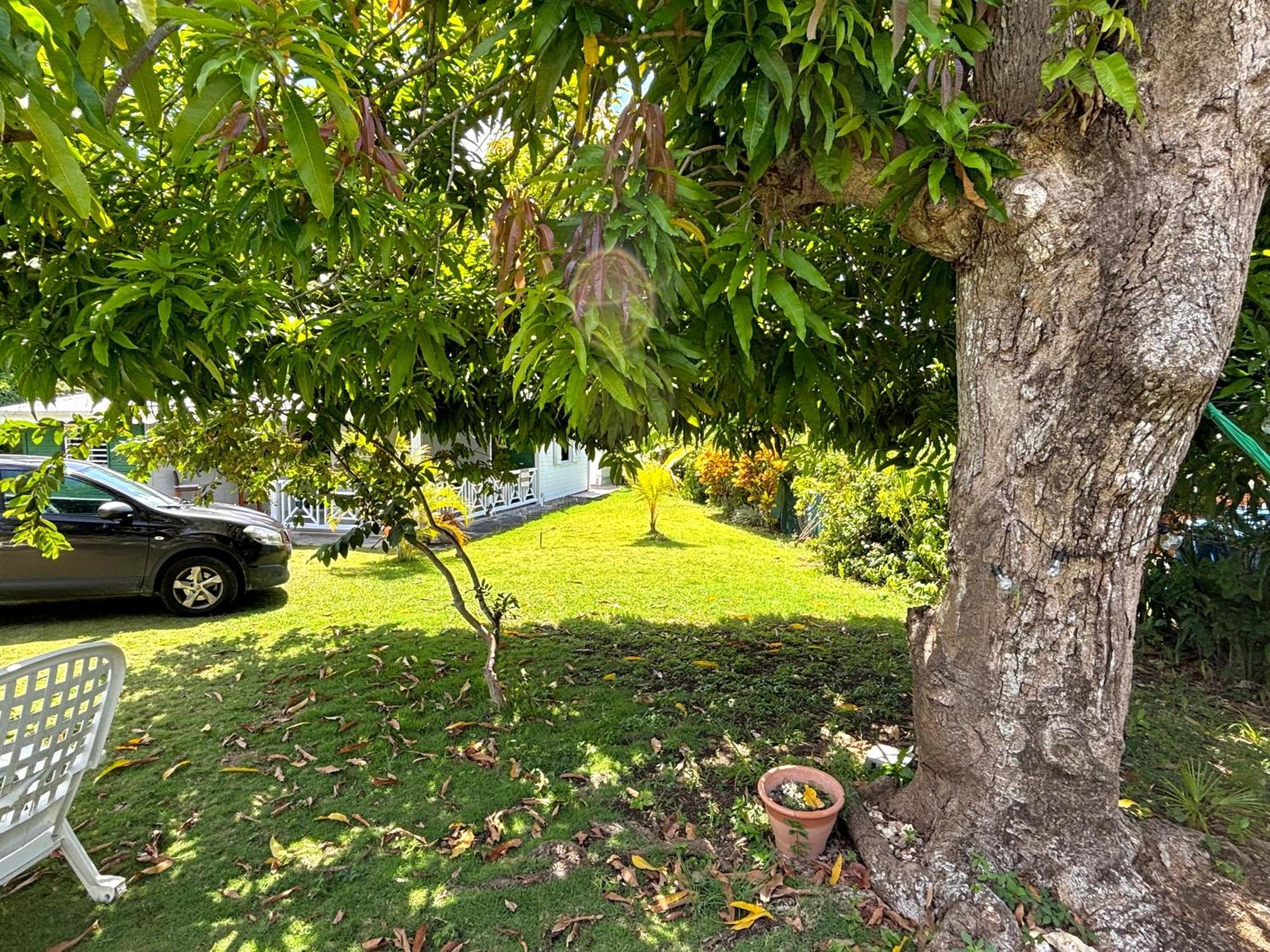 La Maison Creole Du Flamboyant - Proche Des Plages Anse-Bertrand Buitenkant foto