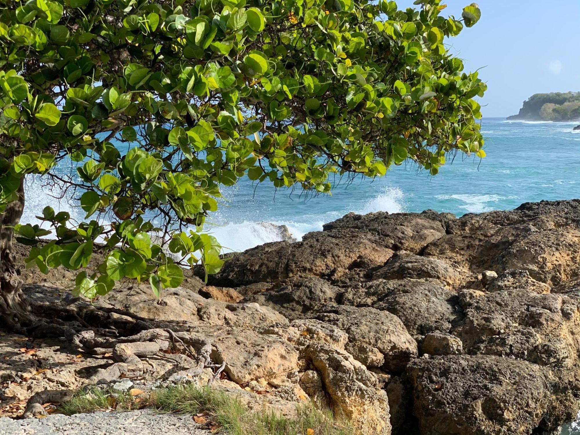 La Maison Creole Du Flamboyant - Proche Des Plages Anse-Bertrand Buitenkant foto